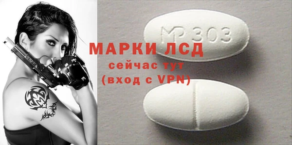 прущие грибы Магас