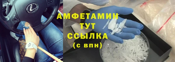 прущие грибы Магас