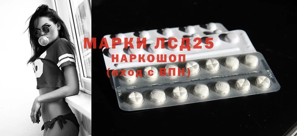 прущие грибы Магас