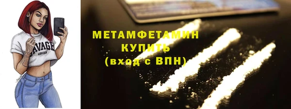 прущие грибы Магас