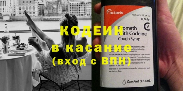 прущие грибы Магас