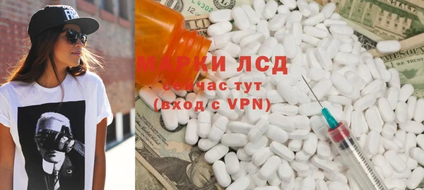 прущие грибы Магас