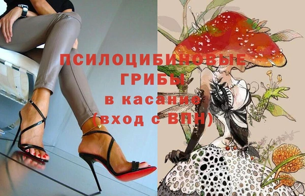 прущие грибы Магас