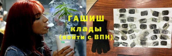 прущие грибы Магас