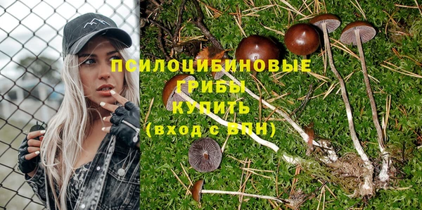 твердый Магадан