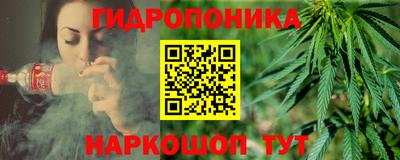 эйфоретик Гатчина