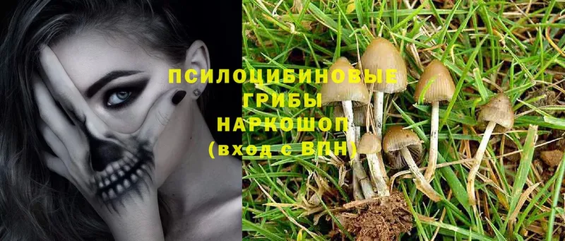 Галлюциногенные грибы MAGIC MUSHROOMS  где найти наркотики  мориарти какой сайт  Орск 