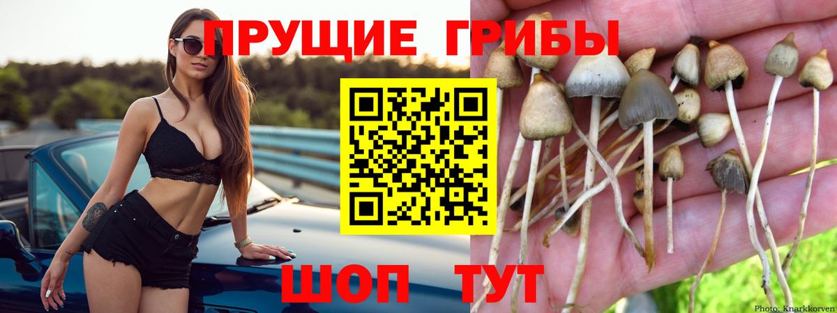 Орск  Галлюциногенные грибы GOLDEN TEACHER  Псилоцибиновые грибы Psilocybine cubensis  Вход с VPN 